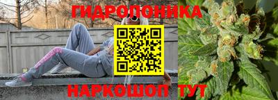 круглые Лесосибирск