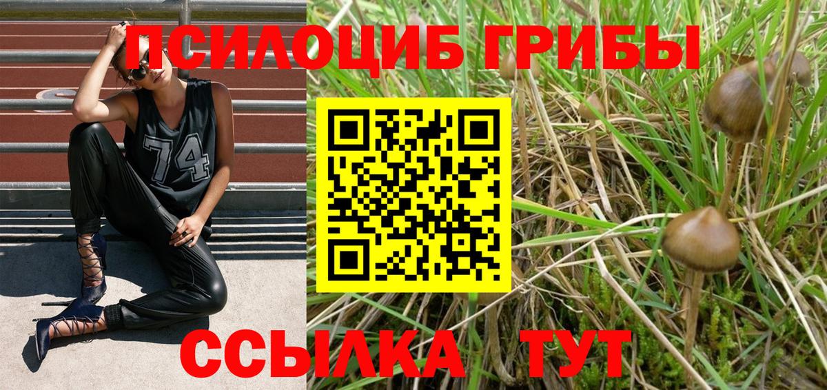 Галлюциногенные грибы Magic Shrooms  Вход с VPN  Егорьевск 